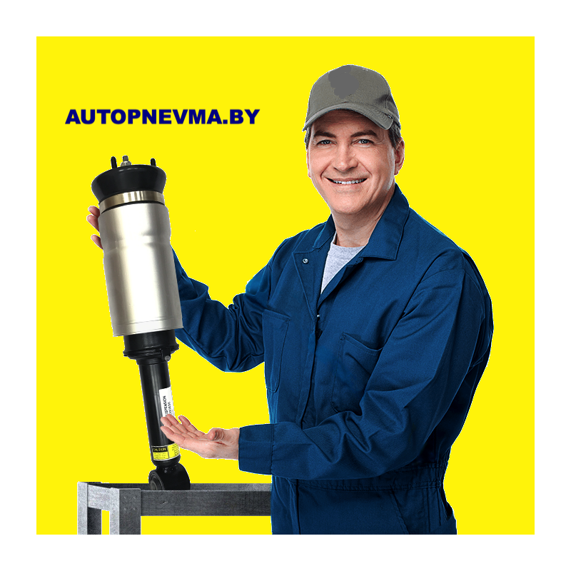 Ремонт амортизатора пневмостойки передней/задней для Audi A8 D4 4H