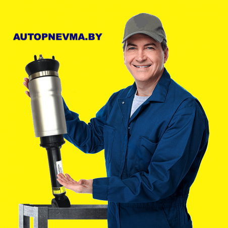 Ремонт амортизатора пневмостойки передней/задней для Audi A8 D4 4H