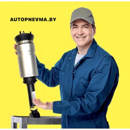 Ремонт задних пневмоамортизаторов для Audi A8 Allroad Quattro