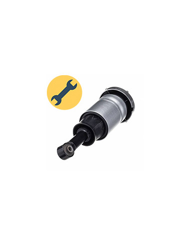 Восстановленные задние пневмоамортизаторы AirBagit для Ford Expedition (2007-2013)